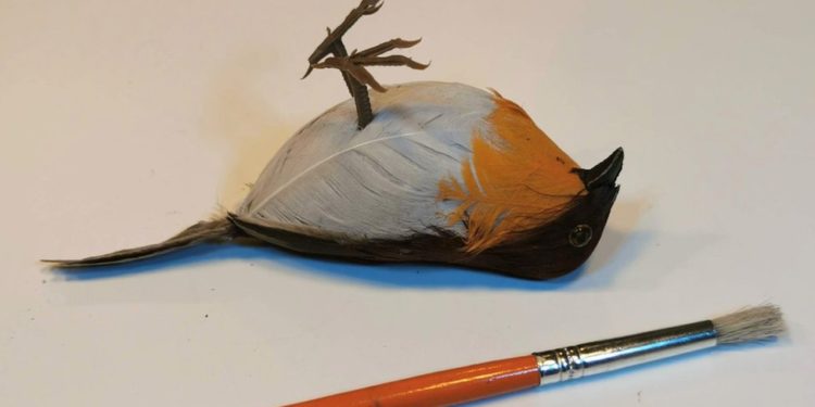 „Lockdown” câștigă concursul de artă spoof la Turnip Prize 2020