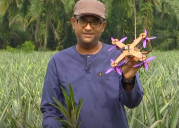 O echipă din Malaezia transformă deșeurile de ananas în piese de unică folosință pentru drone