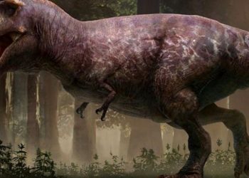 Nou dinozaur asemănat cu T-Rex descoperit pe Isle of Wight