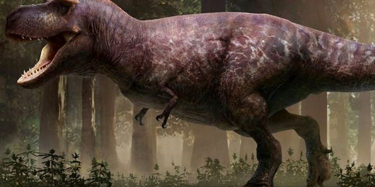 Nou dinozaur asemănat cu T-Rex descoperit pe Isle of Wight