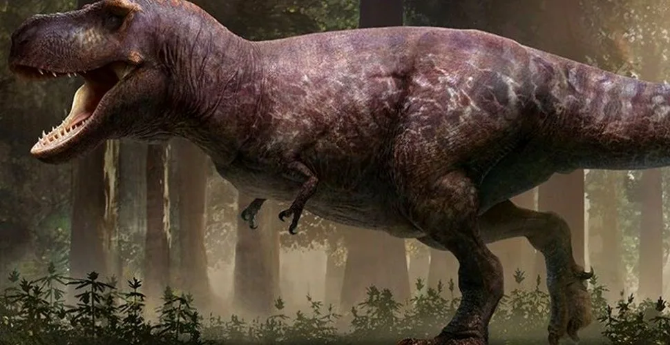 Nou dinozaur asemănat cu T-Rex descoperit pe Isle of Wight