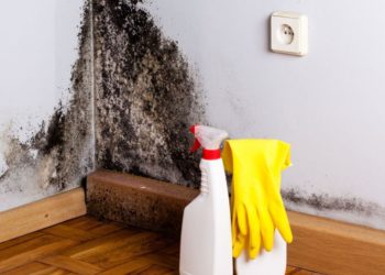 Mucegaiul cucereşte cameră după cameră?