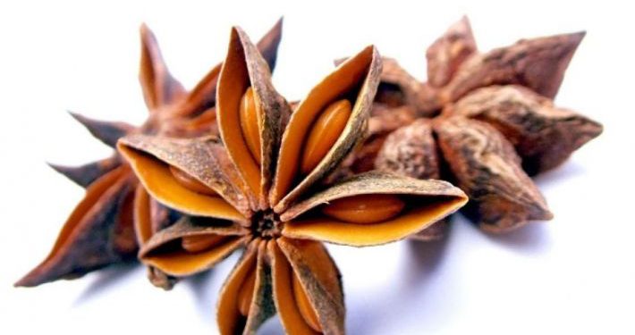 Anason (Pimpinella anisum)