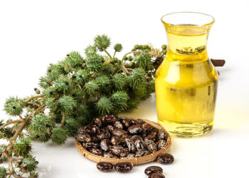 Beneficiile utilizării uleiului de ricin