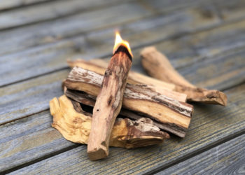 Uleiuri și bețișoare parfumate pentru casă: cum le alegi?