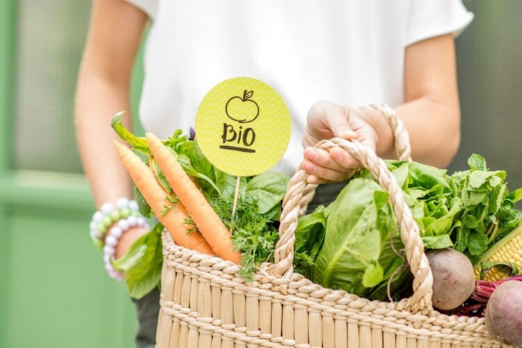 Legume pe care le poți crește ușor în grădina ta