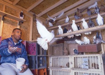 Hobby-uri ciudate ale vedetelor din întreaga lume