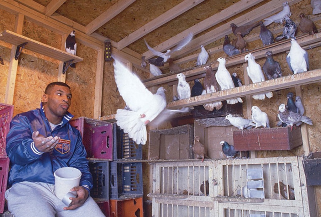 Hobby-uri ciudate ale vedetelor din întreaga lume