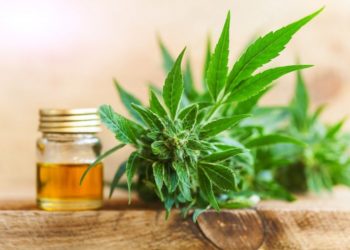 Este benefic uleiul CBD pentru pierderea în greutate?