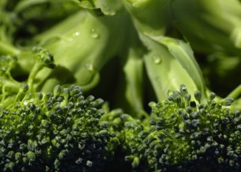 Cum să păstrezi verdețurile pentru mai mult timp la frigider