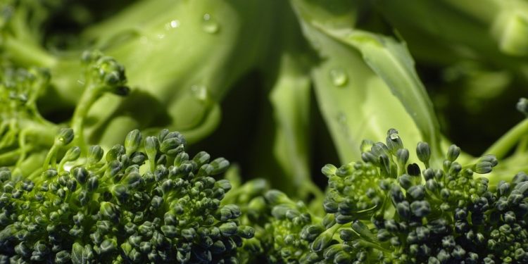 Cum să păstrezi verdețurile pentru mai mult timp la frigider