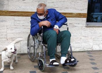 Un câine a demonstrat iubirea infinită atunci când și-a așteptat stăpânul în fața spitalului aproape o săptămână