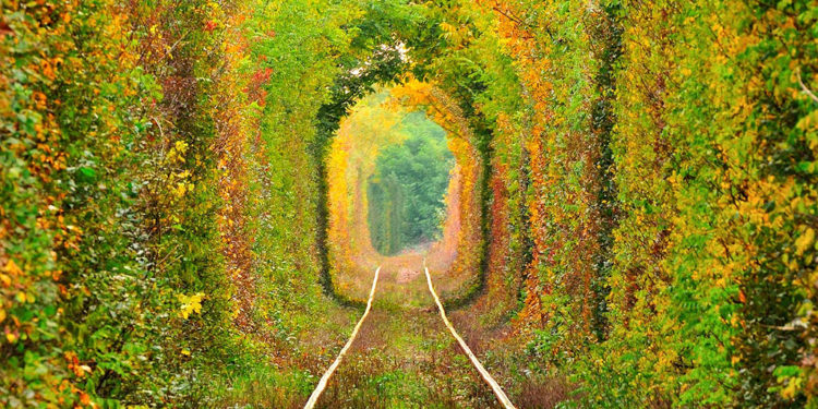 Cele două comori ascunse în inima Caraș-Severinului