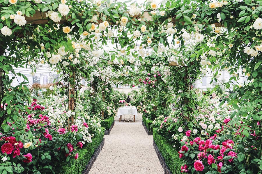 Modificările climatice, tema centrală de la Chelsea Flower Show 2020