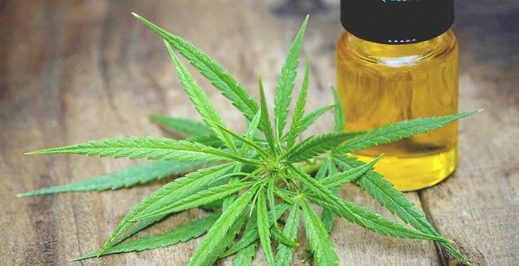 Uleiul de cannabis- un produs revoluționar pentru sănătate