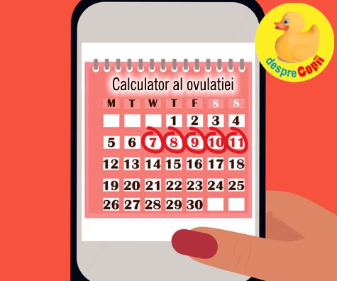 Cand este o femeie in cea mai fertila perioada?