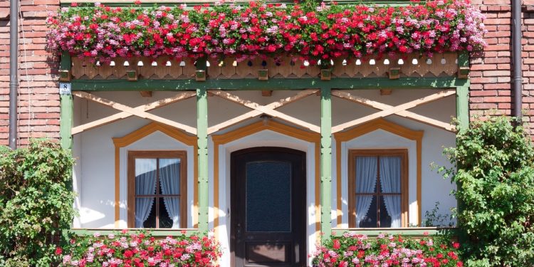 Cum îți poți uda plantele atunci când ești plecată în vacanță