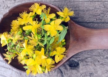 3 Beneficii ale florilor de sânziene pentru organism