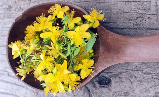 3 Beneficii ale florilor de sânziene pentru organism