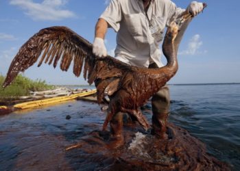 Deversarea de petrol din Mauritius: Incidentele majore sunt mai puțin frecvente?