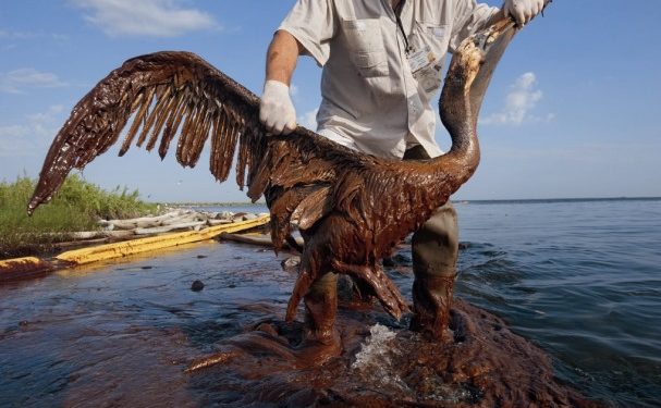 Deversarea de petrol din Mauritius: Incidentele majore sunt mai puțin frecvente?