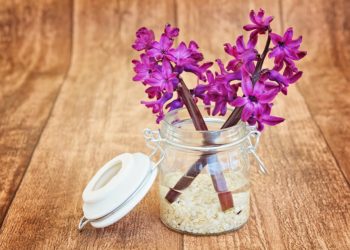 Cum prepari odorizant de cameră și balsam de rufe, în mod natural