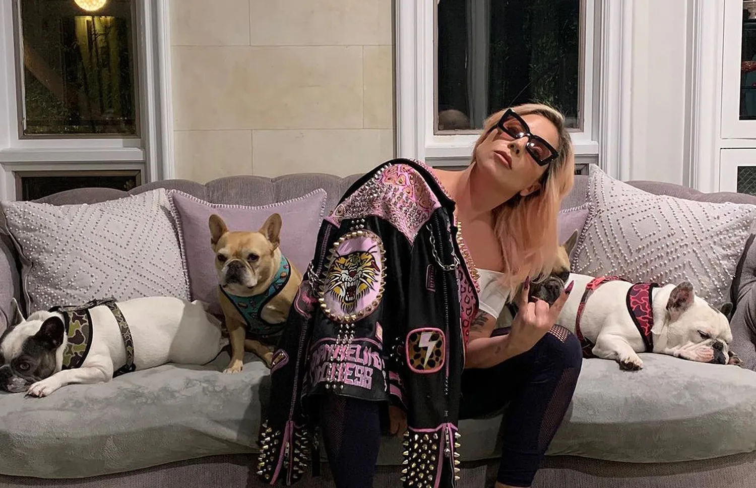 Câinii lui Lady Gaga au fost furați miercuri seara, în urma unui atac cu armă