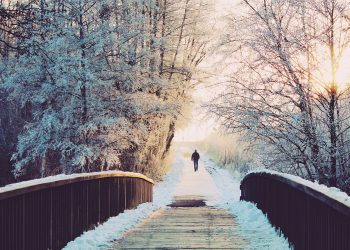 Essiac si Neurovert: suplimente 100% naturale pentru oameni sanatosi