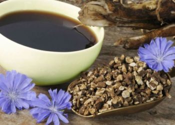 Planta minune care poate înlocui cafeaua și îți poate aduce o serie de beneficii