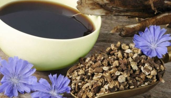 Planta minune care poate înlocui cafeaua și îți poate aduce o serie de beneficii