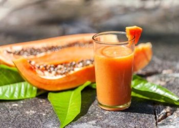 Smoothie cu ovăz și papaya – soluția eficientă pentru problemele digestive