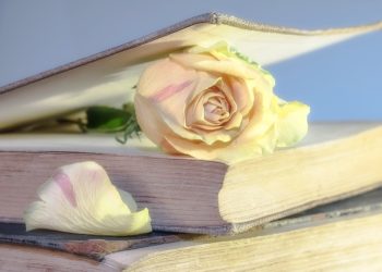 Idei de cărți pentru femei, de dezvoltare personală