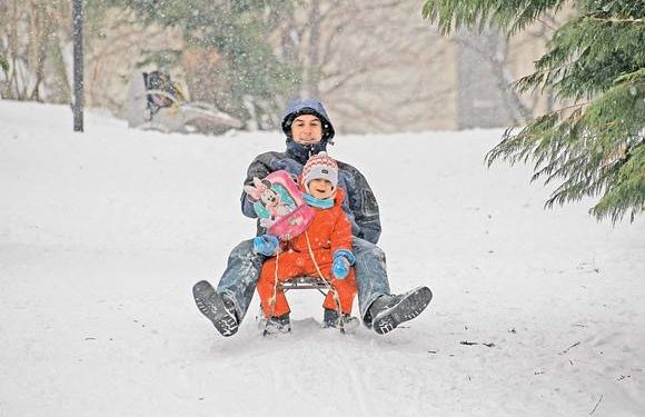 Nu puteți merge în stațiunea de schi? Sud-coreenii se grăbesc să cumpere sănii, să se bucure de săniu aproape de casă