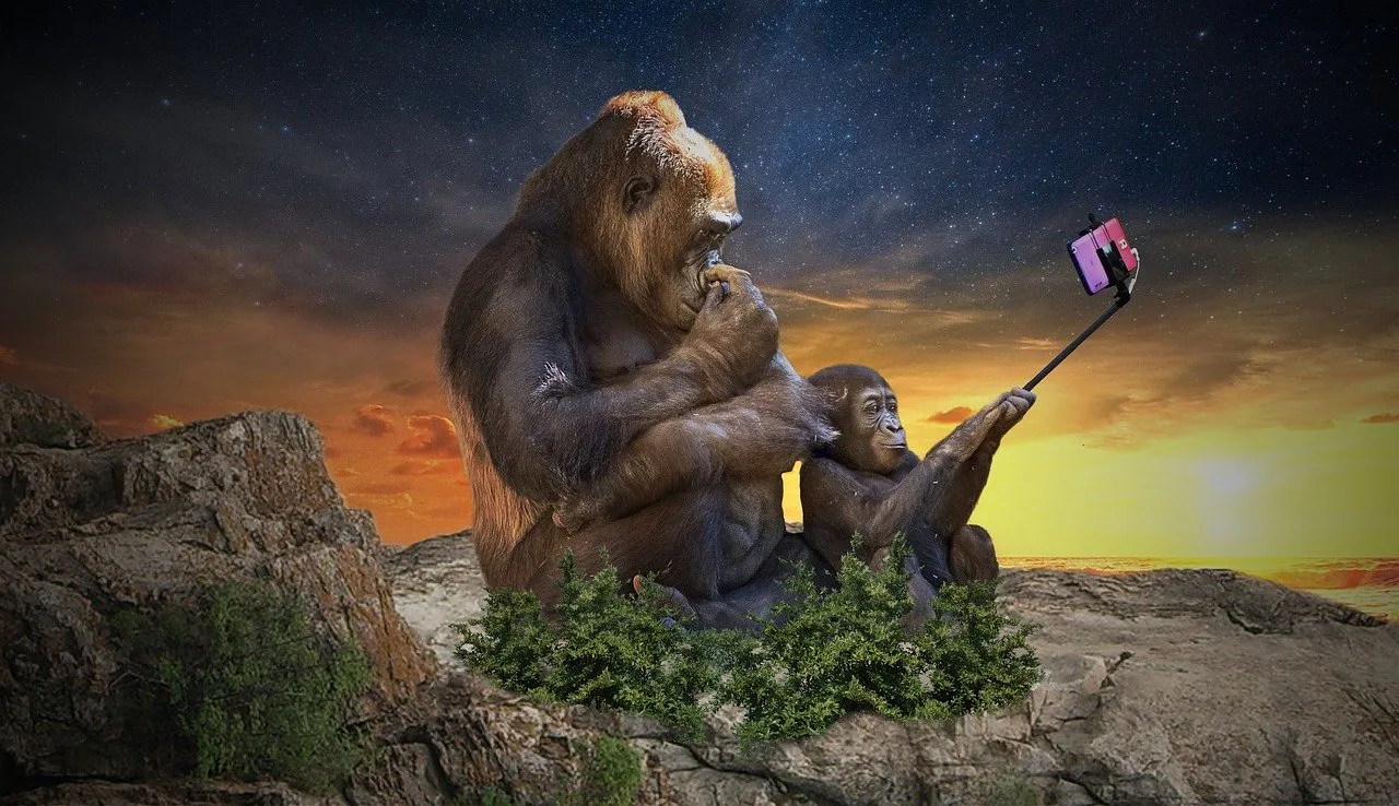Top 5 trucuri pentru un selfie reușit