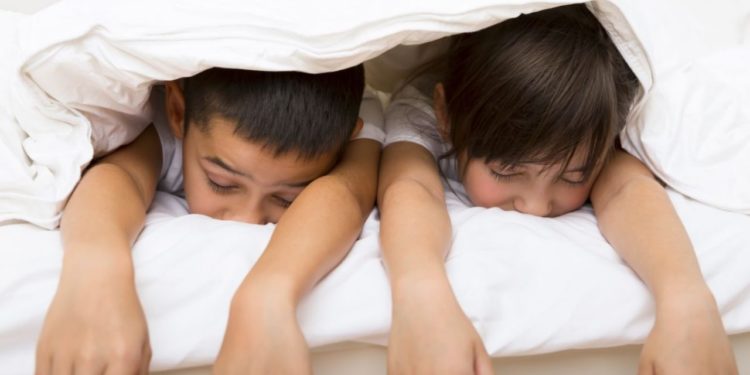 Somnul poate fi studiat pentru a analiza mecanismele de bază ale învățării