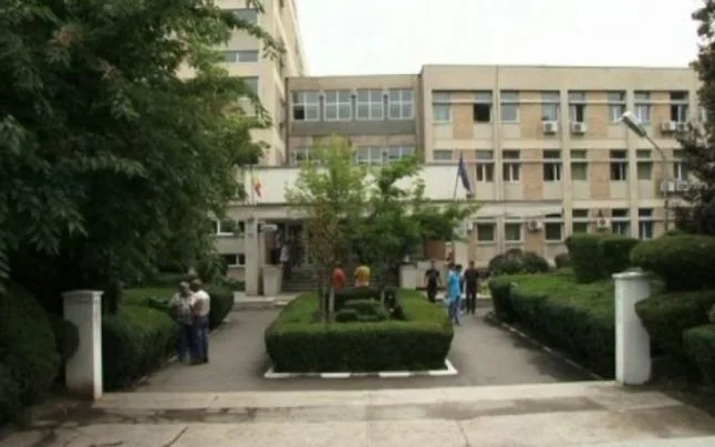 O studentă a tăiat gâtul unei pisici în camera de cămin