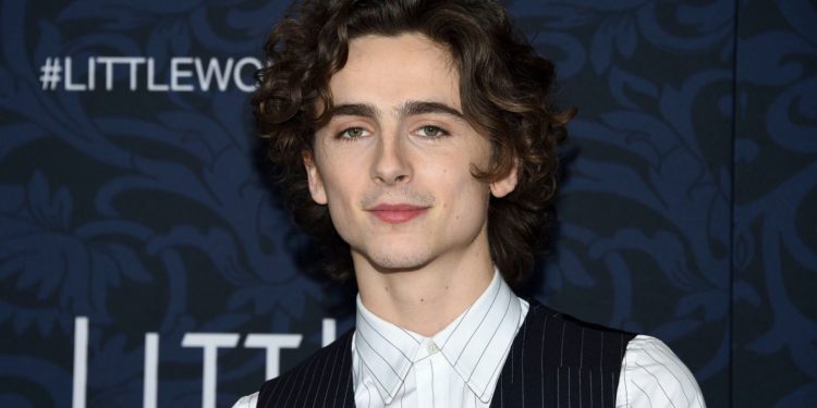 Timothee Chalamet îl va interpreta pe Bob Dylan într-un film de James Mangold