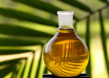 Cât de periculos este pentru sănătate uleiul de palmier și cu ce îl poți înlocui