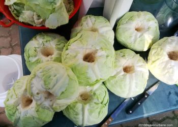 Când punem varză murată, ce trebuie să adaugi în butoi.