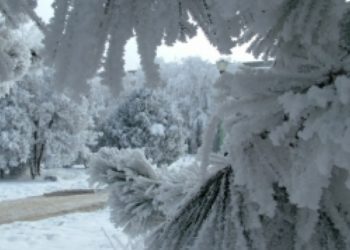 Greseala uriasa pe care o fac romanii cand este ger