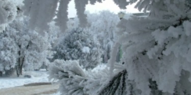 Greseala uriasa pe care o fac romanii cand este ger