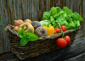 Cum te ajută sistemele de irigații în rentabilizarea activității agricole