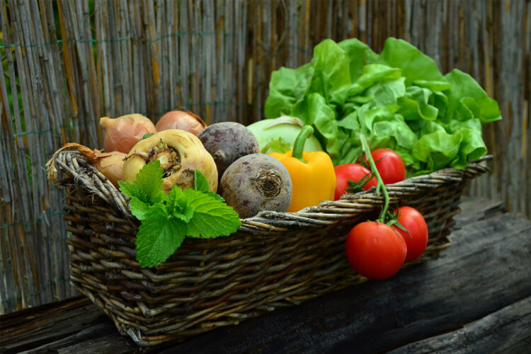 Cum te ajută sistemele de irigații în rentabilizarea activității agricole