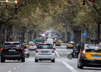 Bebelușii nenăscuți suferă mai multe probleme de sănătate din cauza poluării decât adulții