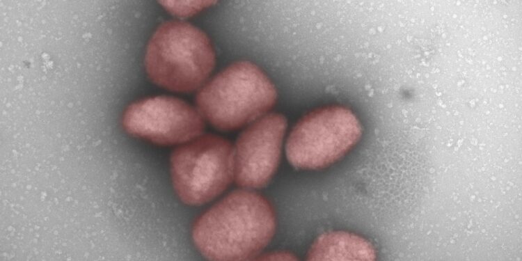 Un studiu CSIC indică posibilitatea ca variola maimuțelor să fie transmisă prin aer