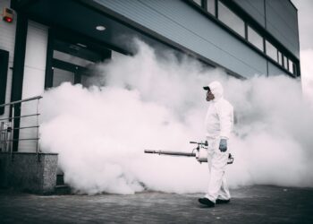 Scapă de gândaci de bucătărie cu firma de dezinsecție Iași