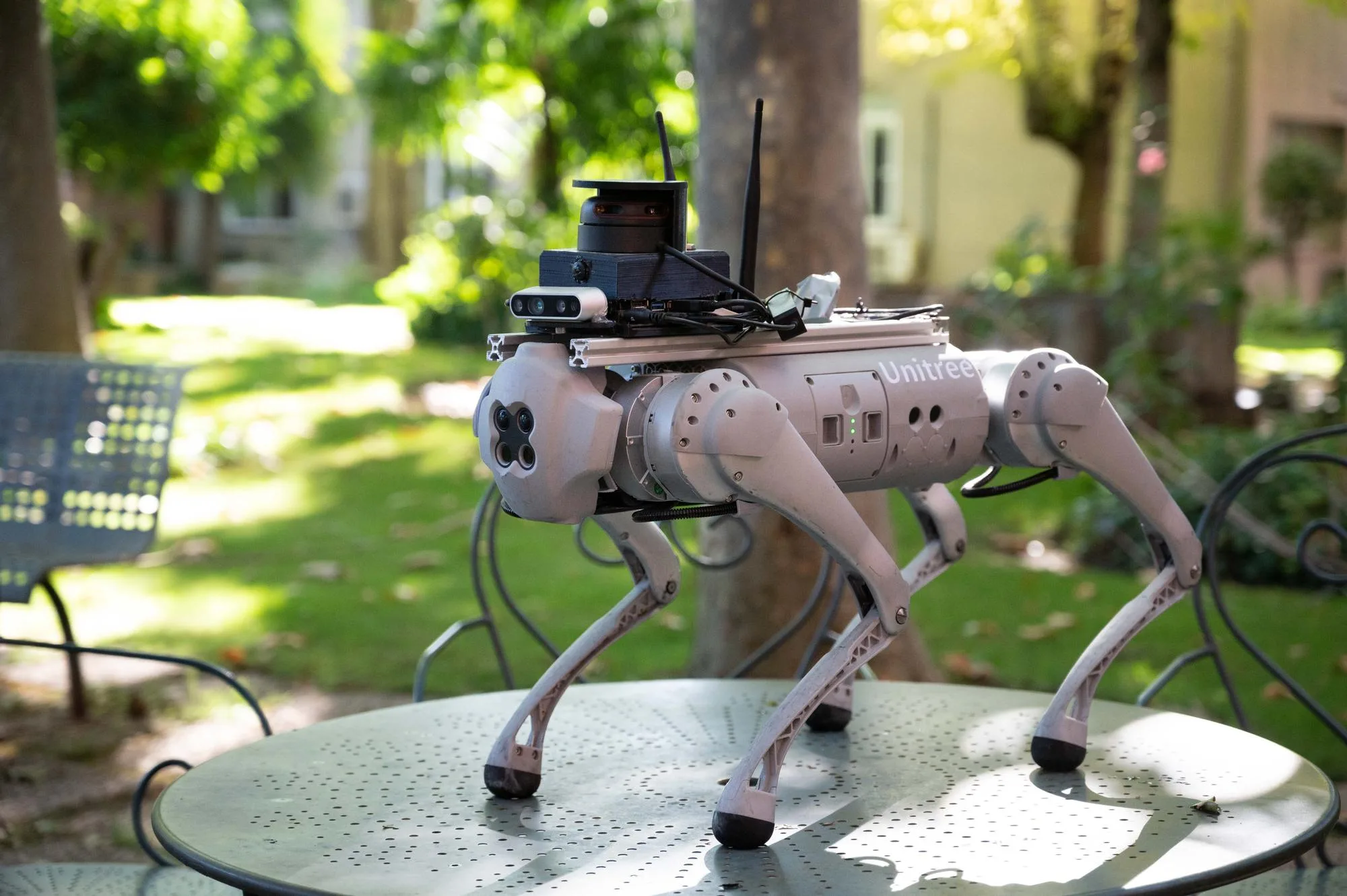 Tefi, câinele robot creat pentru a ajuta persoanele dependente sau cu dizabilități