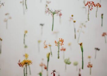 Sindromul mirosului de pește: aceasta este soluția creată de Spitalul Sant Joan de Déu și Eurofragance