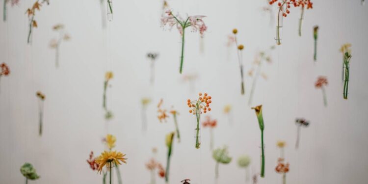 Sindromul mirosului de pește: aceasta este soluția creată de Spitalul Sant Joan de Déu și Eurofragance