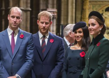 gestul care îi apropie pe Harry și Meghan